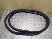 Rear door rubber seal (on body)