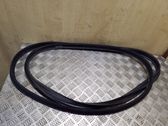 Trunk rubber seal (body)