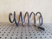 Front coil spring