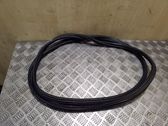 Trunk rubber seal (body)