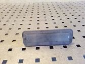 Luz del asiento delantero