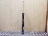 Stoßdämpfer hinten