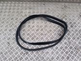 Front door rubber seal