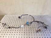Other wiring loom