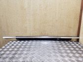Listón embellecedor de la ventana de la puerta delantera