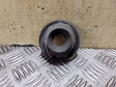 Rear coil spring rubber mount