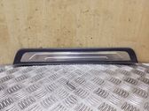 Front sill trim cover