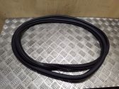 Rear door rubber seal (on body)