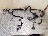 Front door wiring loom