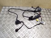 Front door wiring loom