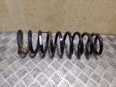 Rear coil spring