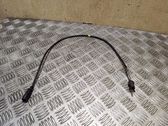 Abgastemperatursensor