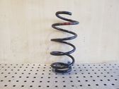 Front coil spring