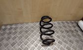 Front coil spring