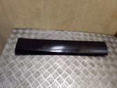 Rear door trim (molding)