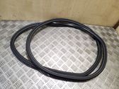 Rear door rubber seal (on body)