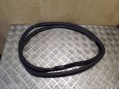 Rear door rubber seal (on body)