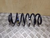 Rear coil spring