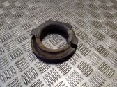 Rear coil spring rubber mount