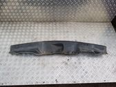 Wiper trim