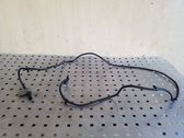 Other wiring loom