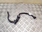 Tailgate/trunk wiring harness