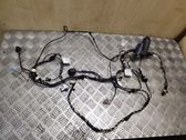Front door wiring loom