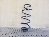 Front coil spring