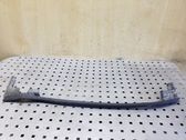 Rear door rubber seal (on body)