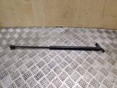 Front bonnet/hood damper/strut