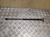 Front bonnet/hood damper/strut