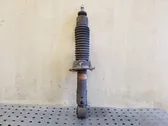 Rear shock absorber/damper