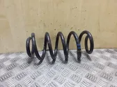 Front coil spring