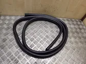 Front door rubber seal