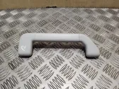 Front interior roof grab handle