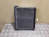 Gaisa kondicioniera radiators (salonā)