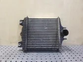 Radiador intercooler