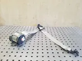 Cinturón trasero