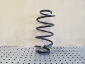 Front coil spring