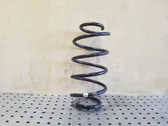 Front coil spring