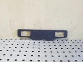 Trunk door license plate light bar