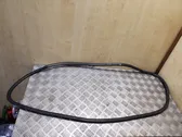 Listón embellecedor de la ventana de la puerta delantera