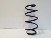 Front coil spring