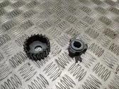 Fuel pump gear (pulley)