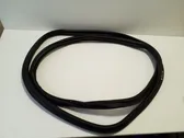 Trunk rubber seal (body)