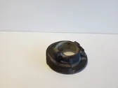 Rear coil spring rubber mount