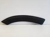 Fender trim (molding)