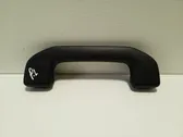 Front interior roof grab handle