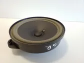 Rear door speaker