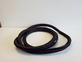 Rear door rubber seal (on body)